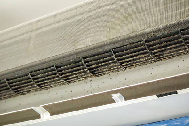 Best HVAC System Cleaning  in Centreville, MS